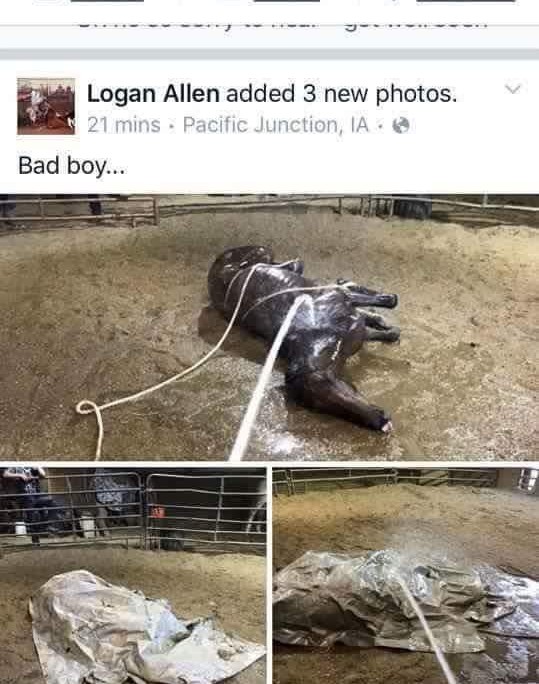 logan 4