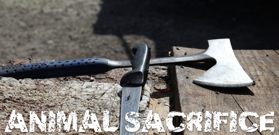animal sacrifice