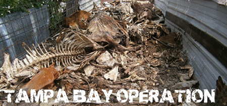 tampa_gallery
