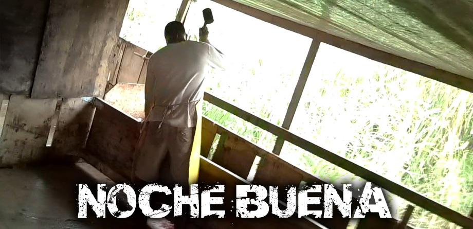 Noche_cover