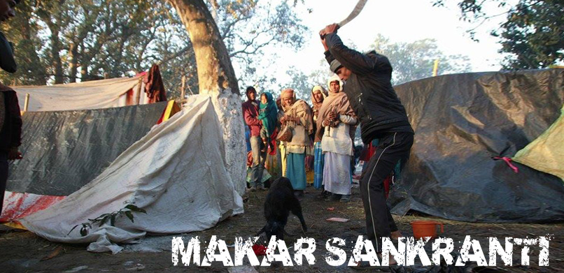 makar01
