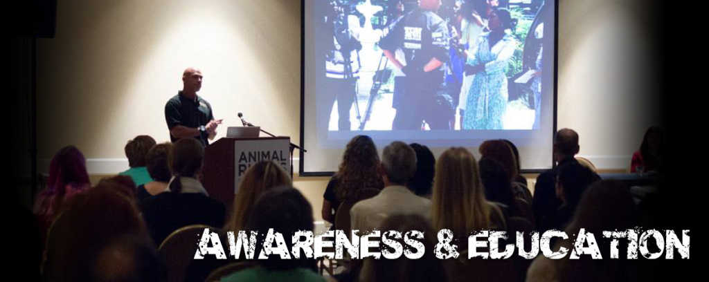 awareness and education awareness and education