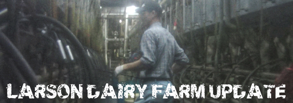 update larson dairy farm update