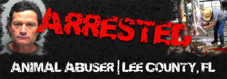 happeing_arrest4